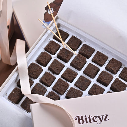 Biteyz Brownie